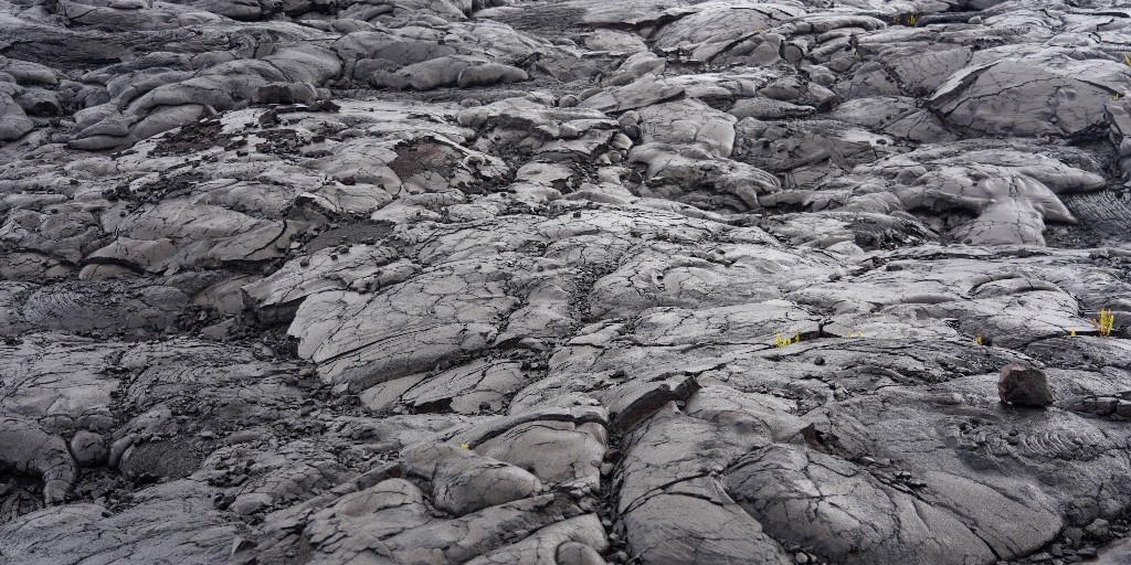 Aloha, Hawai'i! 🌋🌴🌺☀️🌊

~ 3 FUN FACTS ~

1. Hawai'i is the world's largest island chain. 

2. Maui’s Mount Haleakala is the largest dormant volcano in the world.

3. The Big Island grows by around 40 acres annually because of regular eruptions from Kilauea.

#BugSex #Film