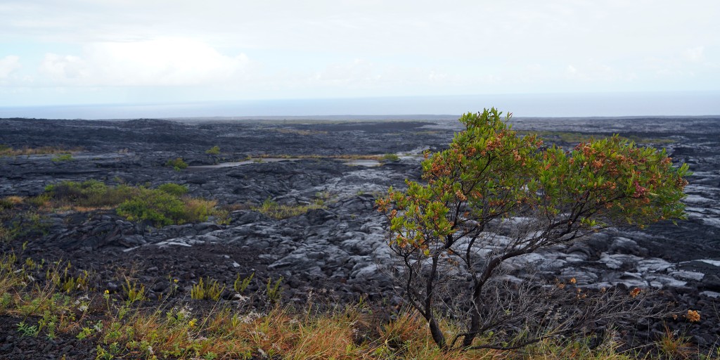 bugsexthedoc tweet media