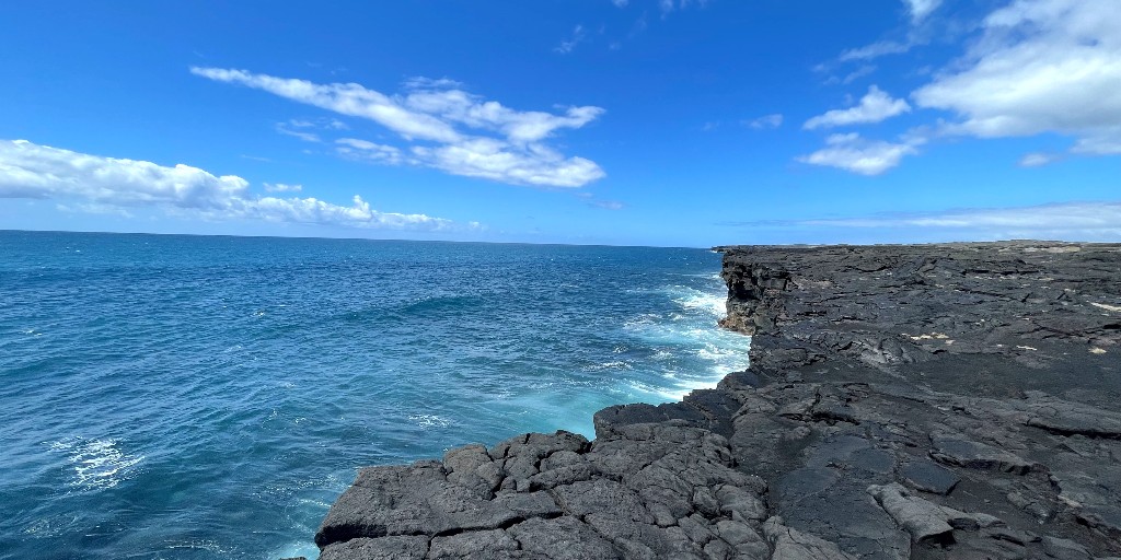 bugsexthedoc tweet media