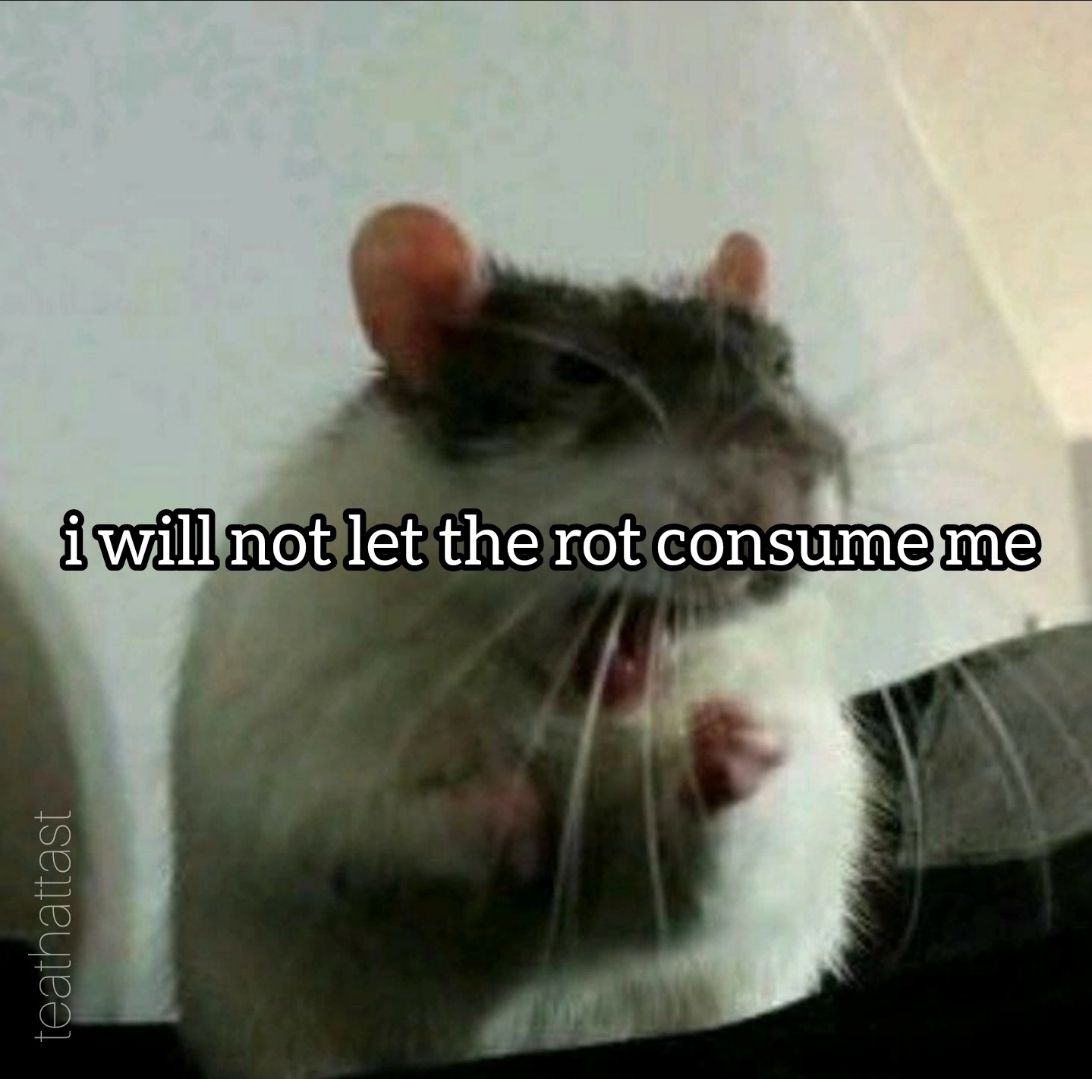 zofiaharbor's tweet photo. this weeks mood https://t.co/QETeGaFh1U
