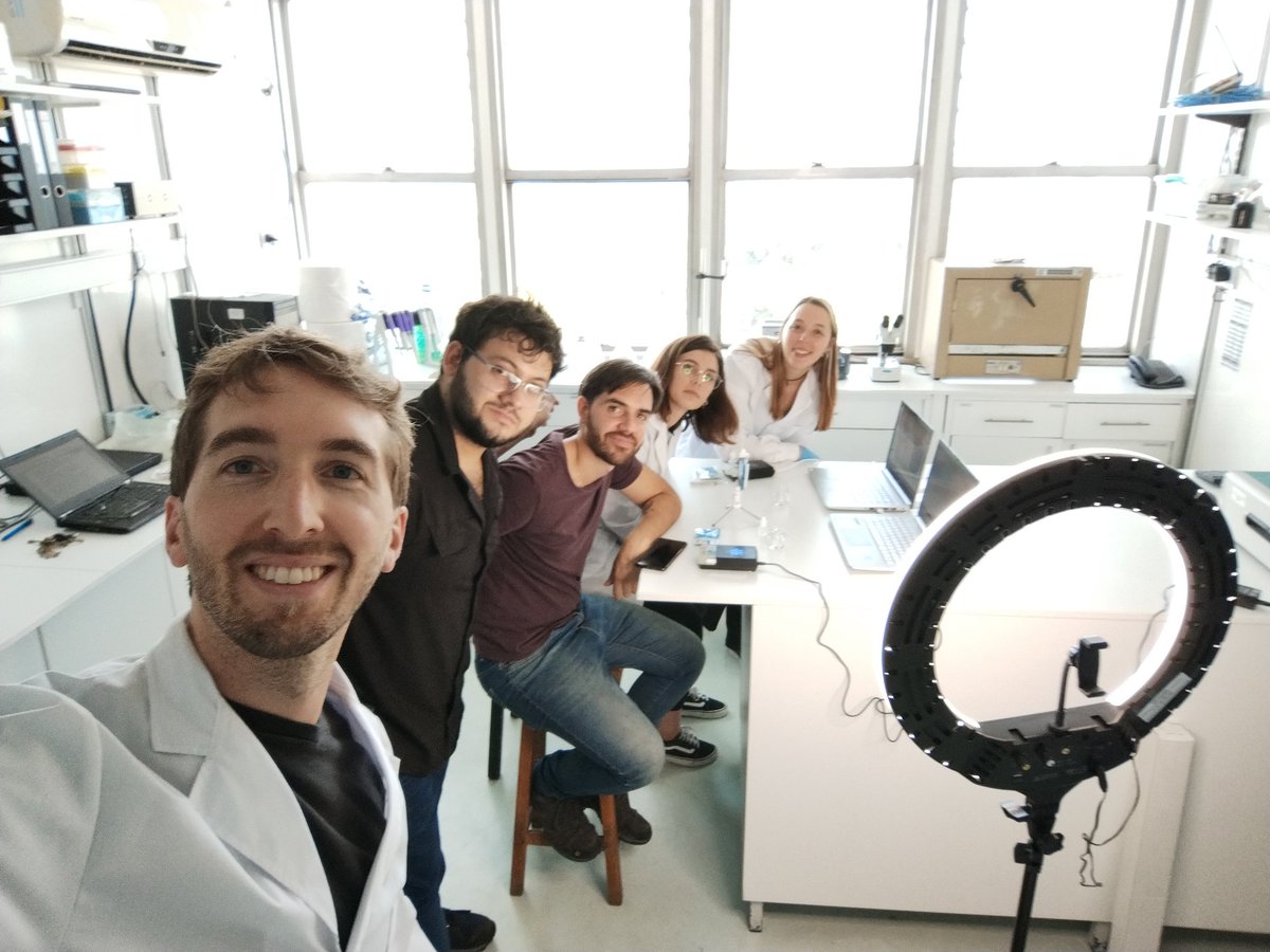 Esteban Piccinini tweet media