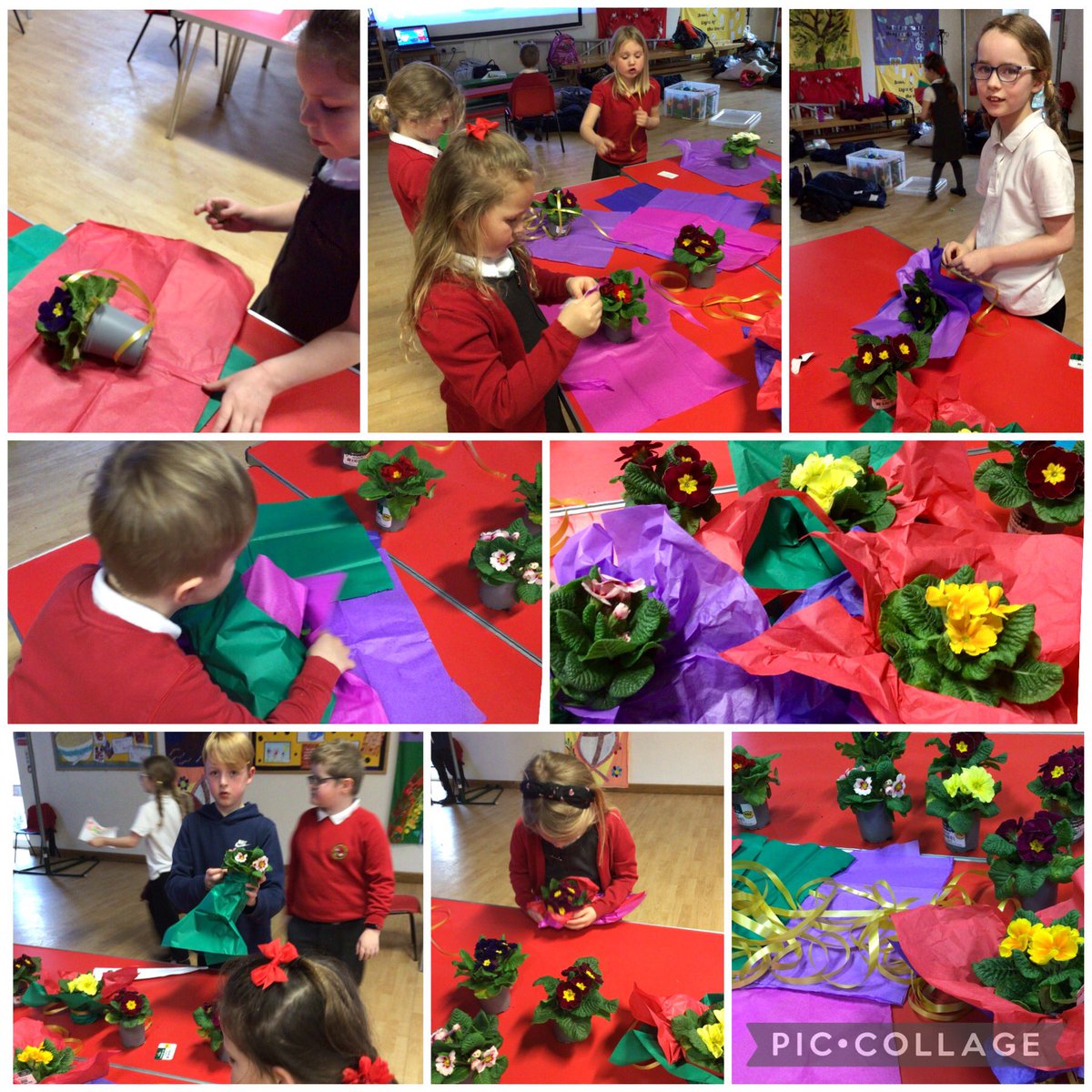 Cuckney After School Care tweet media