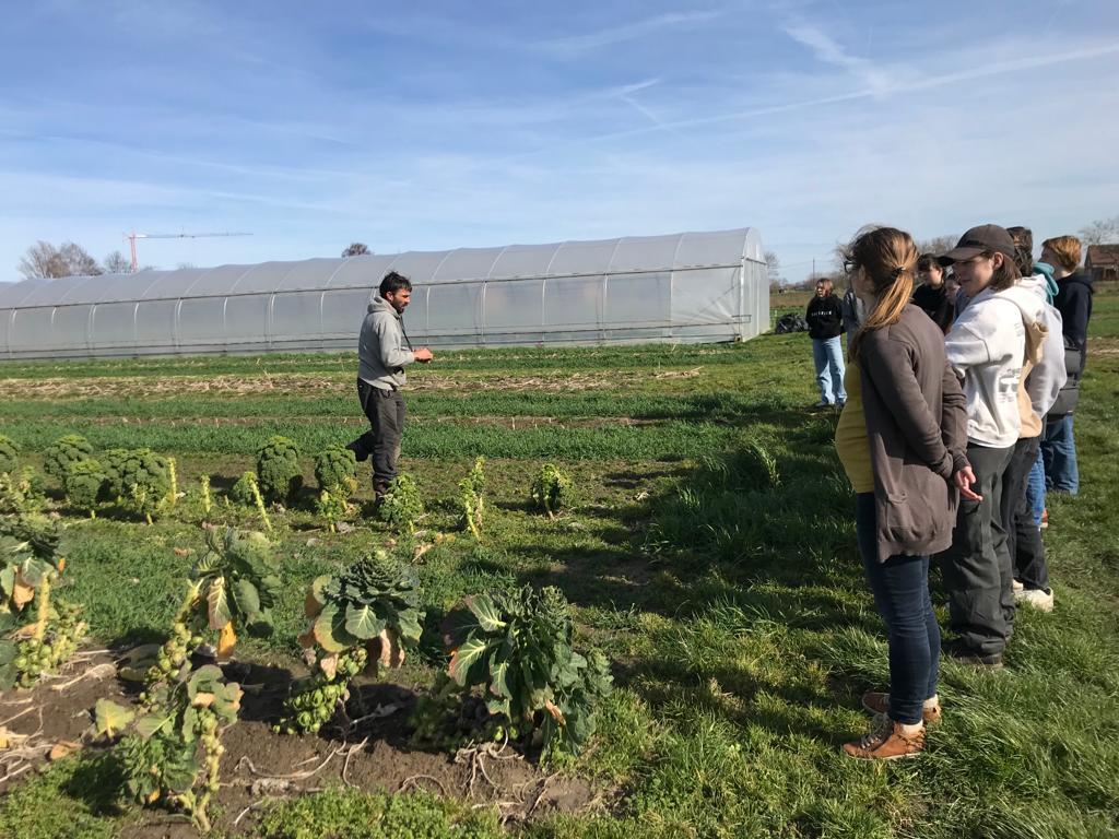 BAPitzemburg's tweet image. Tijdens het seminarie #SDG trok een groep leerlingen van het 4de jaar vandaag naar bioboerderij Ferm. Ze maakten er kennis met biologische landbouw en de #korteketen. @GO_onderwijs #helemaalGO @StadMechelen @GemeenteZemst #SDG3 #SDG4 #SDG17