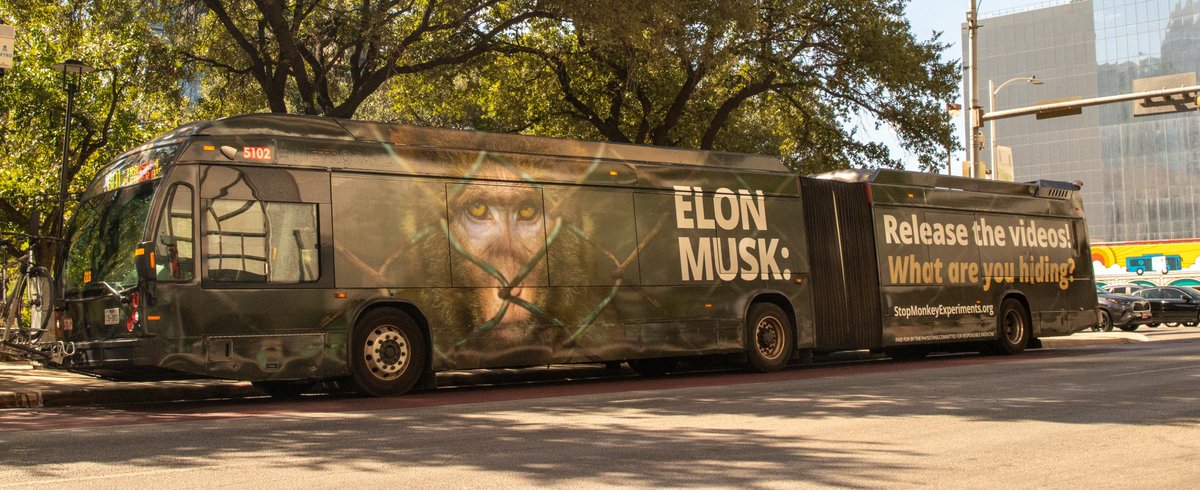 <a href="/neuralink/">Neuralink</a> Public records show that monkeys used in <a href="/neuralink/">Neuralink</a> experiments have suffered chronic infections, paralysis, and internal bleeding. When are you going to release those videos?