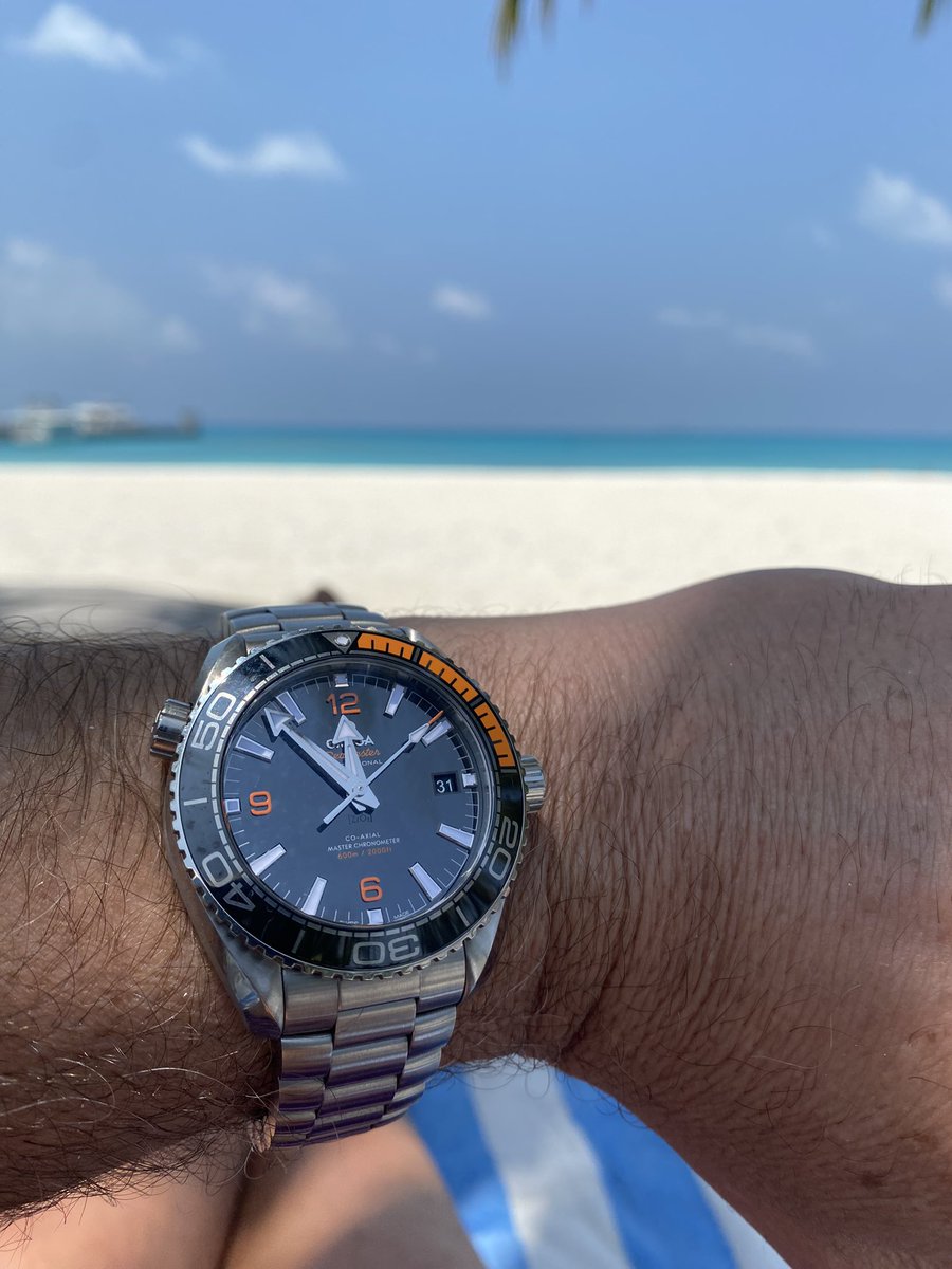Big_dog1969's tweet photo. He she is in her natural environment 🏝️⌚️🐟 @omegawatches @Meeru_MV @visitmaldives https://t.co/ykeTFi0EzA