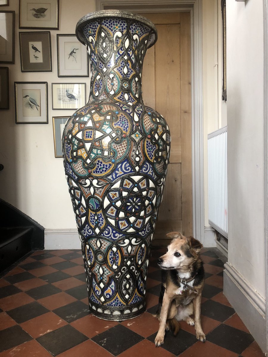 Whopper of a vase (dog for scale) On ye olde website now 👍🏼