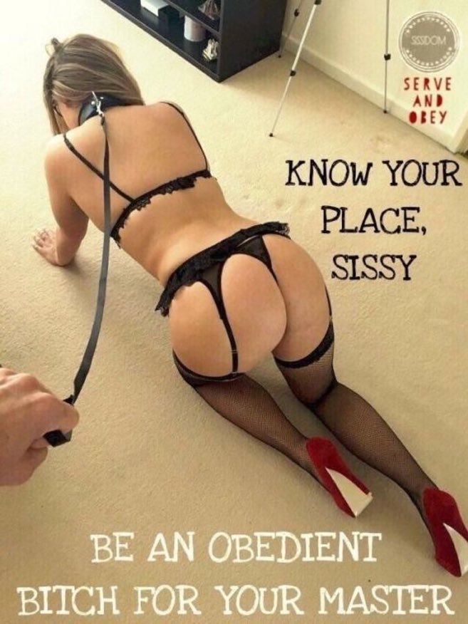 perfectsissys's tweet photo. Retweet sissy ♻️ 💕 🍆 🍑 👙 👗 💦 🧎‍♀️ https://t.co/eeD4EOjYLr