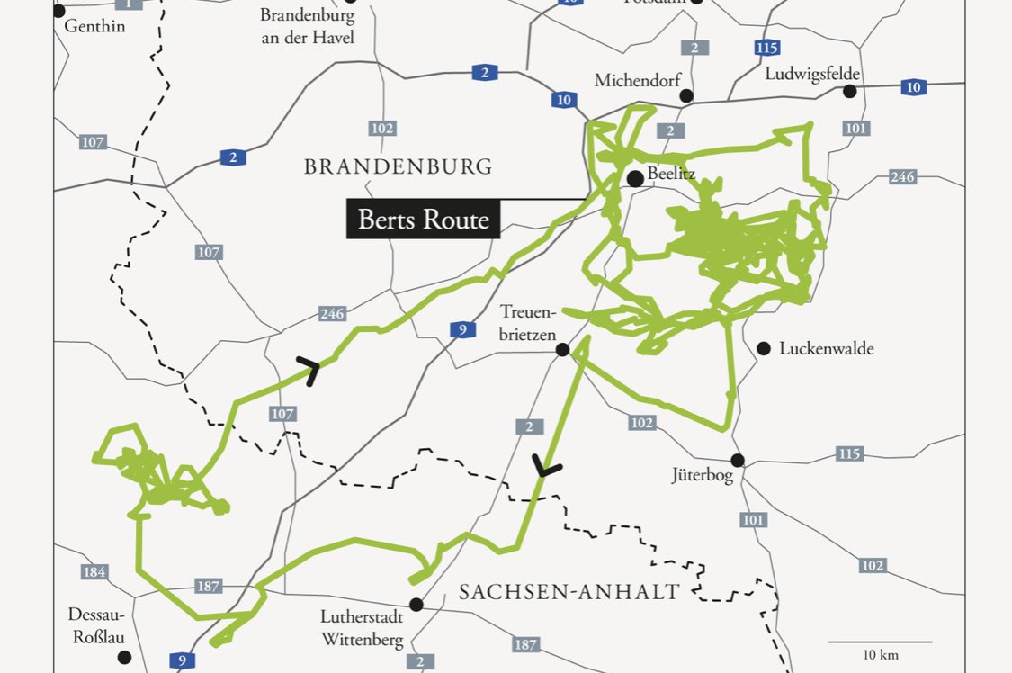 anne_haehnig's tweet photo. Das hier ist die Route von Bert. Dem einzigen in Deutschland niedergelassenen Elch. Man sieht ihn zehn Monate im Jahr wunderselten. Aber im September und Oktober schon. Dann schließt er sich quasi einer Kuhherde an. @ValSchnian hat für @DIEZEIT IM OSTEN herausgefunden, https://t.co/dcrUwZjLDA