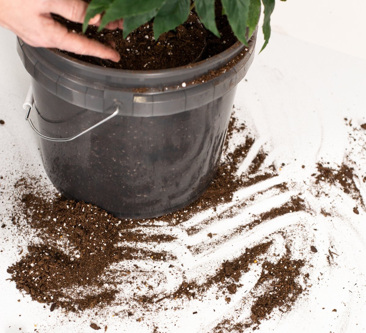 growfloor's tweet photo. Grow more; grow better with GrowFloor multi-purpose greenhouse flooring!
#growfloor #greenhouse #diy
https://t.co/euQafZPX6F https://t.co/KODN3Tb4Od