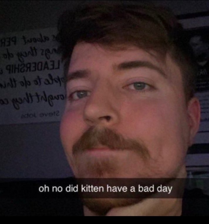 phasmaphobic's tweet photo. @ExtremeBlitz__ @MrBeast https://t.co/r0CKm865HY