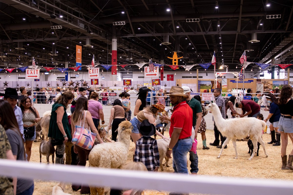 Houston Public Media on Twitter: