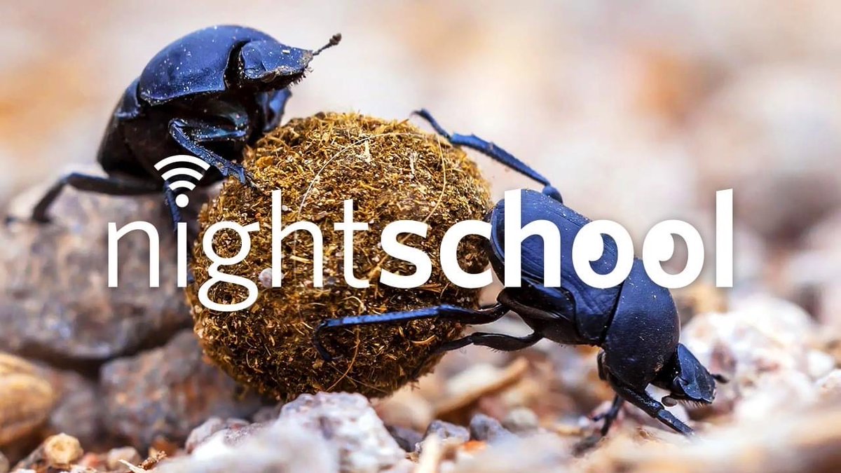 Live tonight, 7pm PT: We’re talking 💩. Tune into NightSchool with Drs. @seanyapzs, @tahliajperry, & @alisonmarklein to discuss everything from dung-beetle courtship & echidna excrement to dairy manure’s impact on climate change: bit.ly/3ZR5mAk