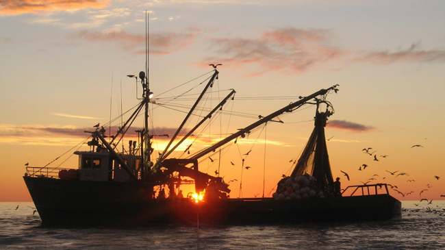 Gareth McGrath tweet media