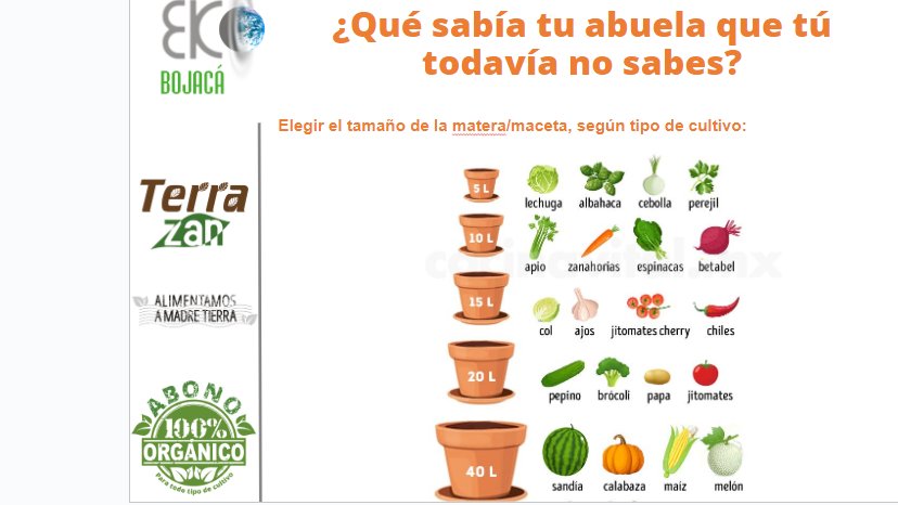 Terra_zan's tweet photo. #AgroTips  ¿Qué quieres plantar en casa? recuerda que la matera es super importante para que pueda tener una mejor evolución tu cultivo https://t.co/QRSpfCWyqY