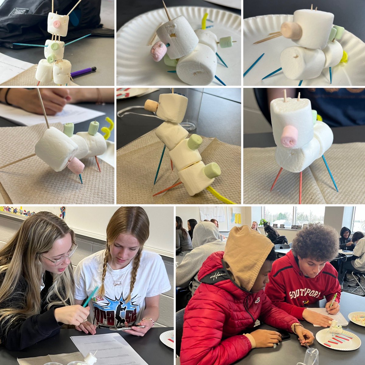 Students demonstrated their understanding of meiosis, genetics and various inheritance patterns by building marshmallow babies as a fun activity before align break.