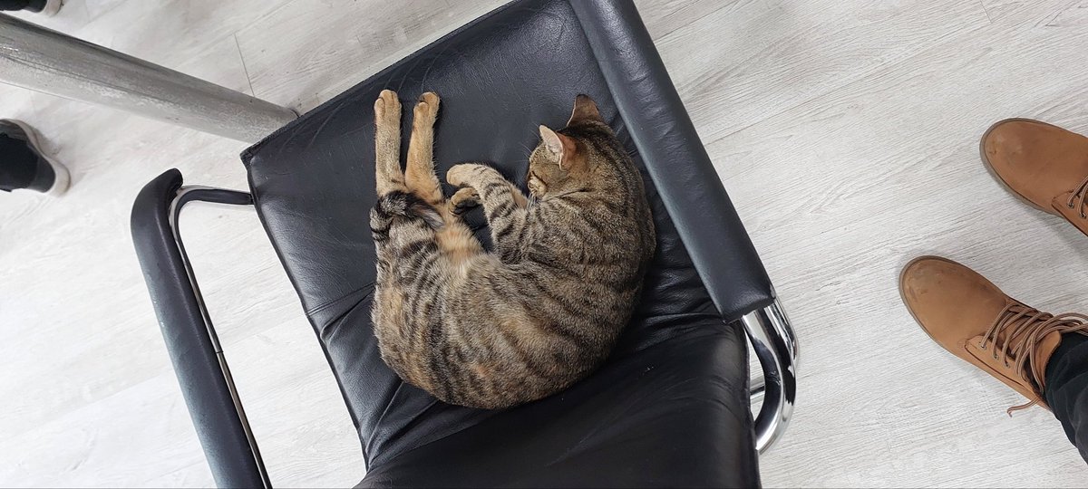 Keyfimiz yerinde bakıyorum

İstanbul Ataşehir Kedi Catlover Cat