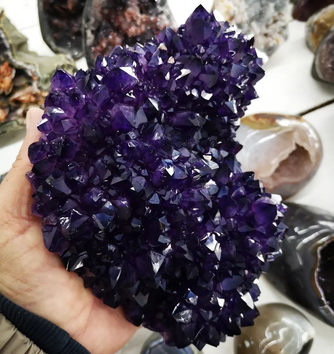 GeologyTime's tweet photo. Beautiful natural amethyst crystals, Uruguay. 

Photo: Le Stage Minerals

#minerals #crystals https://t.co/ynCu4gsERx