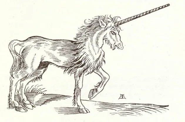 nramkarran's tweet image. Meet the #world’s #weirdest #whale buff.ly/3l8zaJG