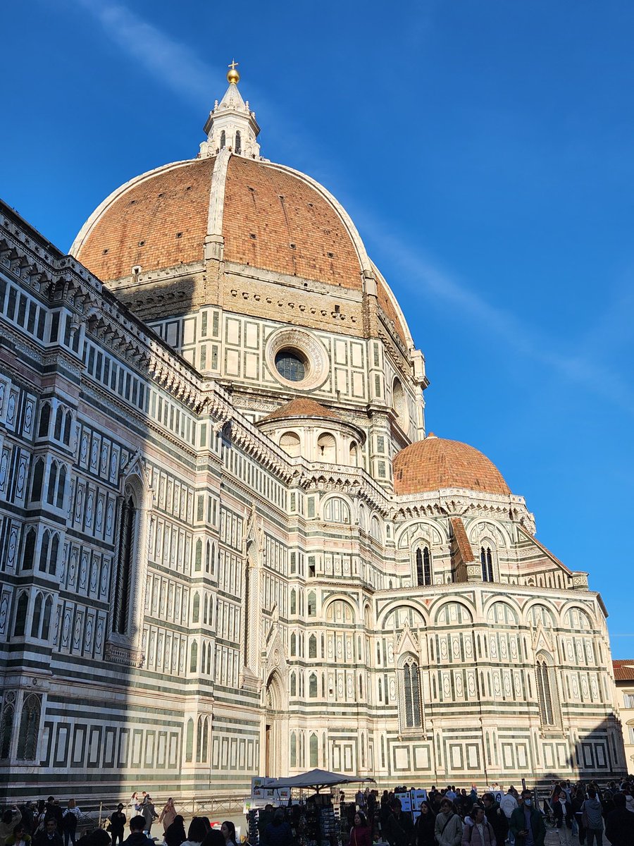 Brian Rector tweet media