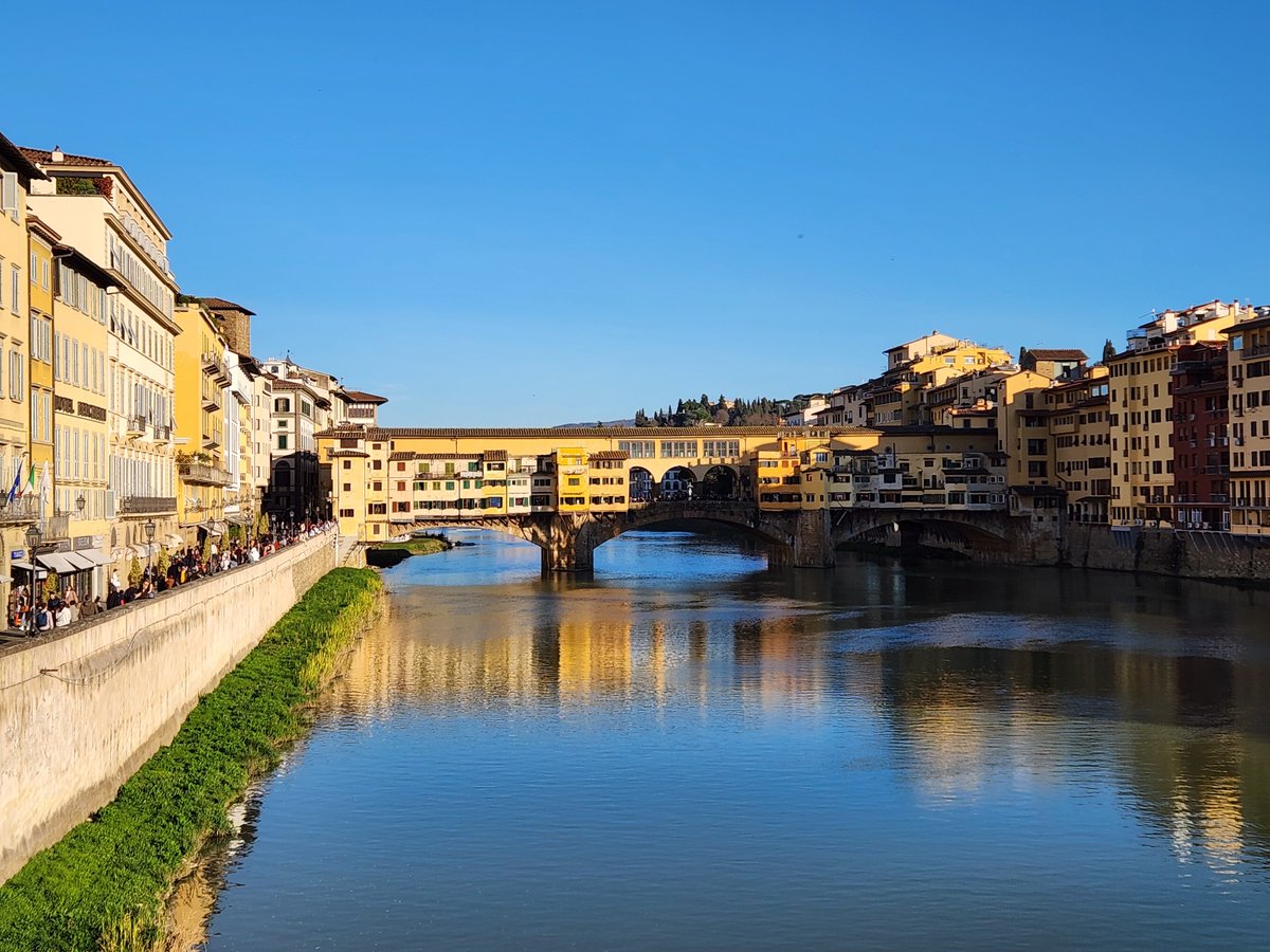 Brian Rector tweet media