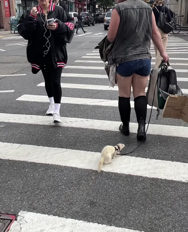 Popüler olmayan hayvan sevgisi daha sempatik değil mi?