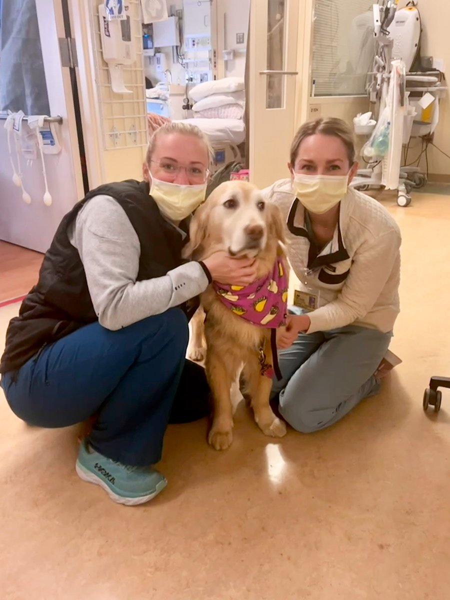 Michigan Cardiology tweet media