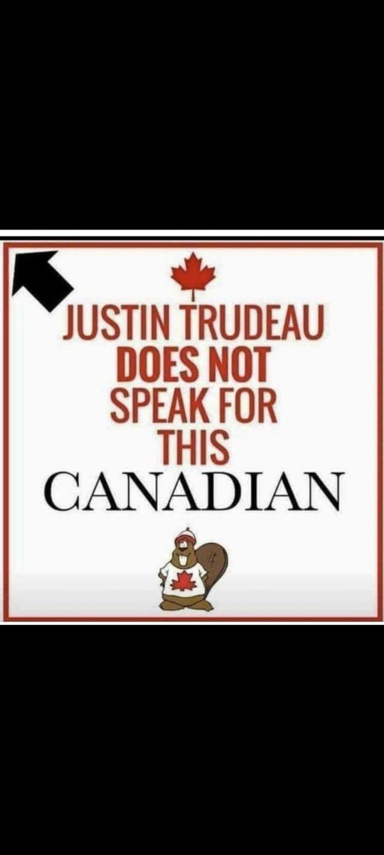 Ber82279609's tweet photo. @nicktassone4 @JustinTrudeau This Canadian completely disagrees and is ashamed and scared of the corrupt criminal currently in charge. #TrudeauMustResign #TrudeauForTreason #TrudeauCorruption #SaveusFromTrudeau https://t.co/ZtyLBUYiGY