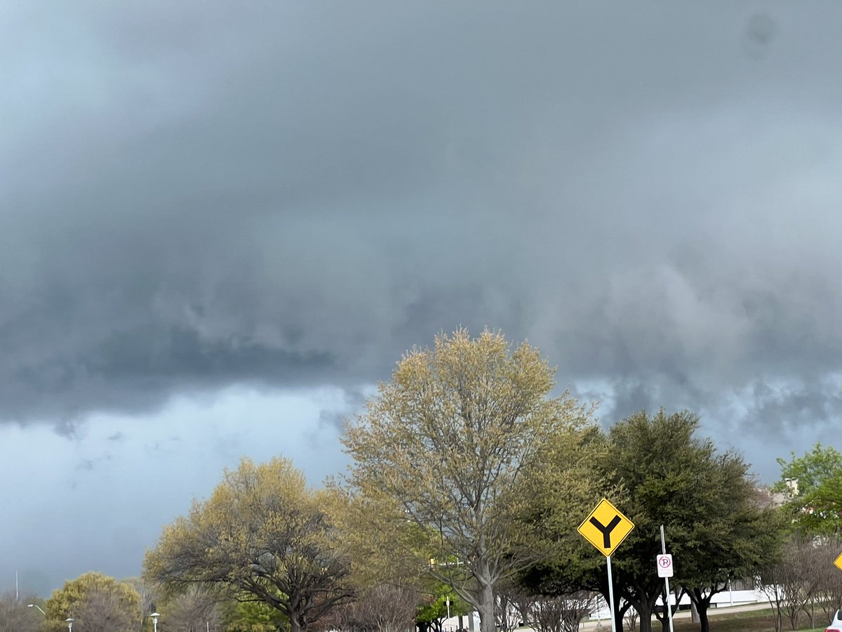 Lili Zheng tweet media