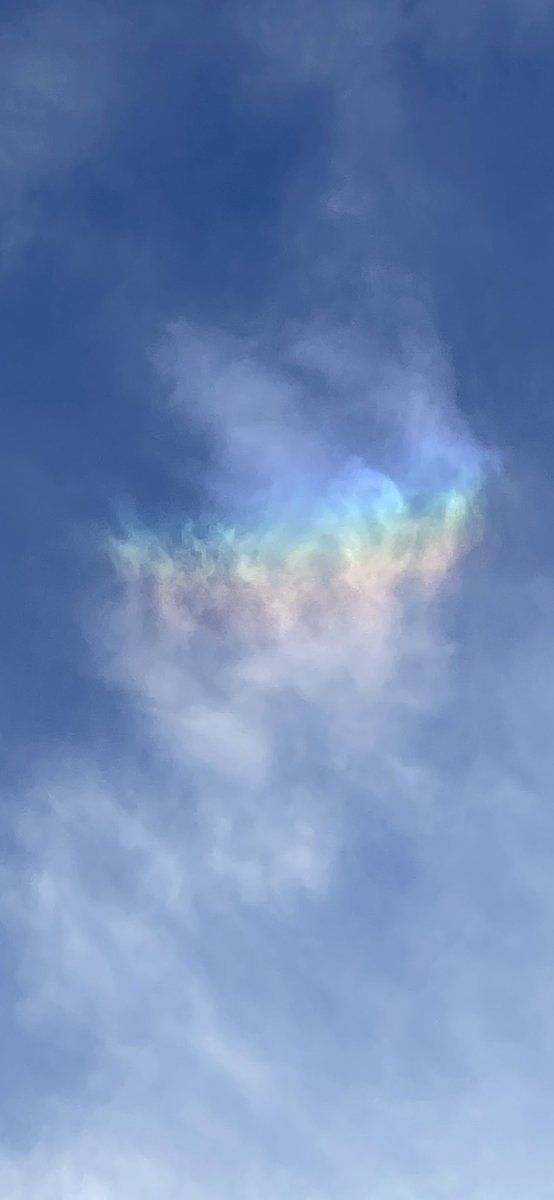 Linsey Dawn McKenzie®️ on Twitter: "Look what I saw today pulled over