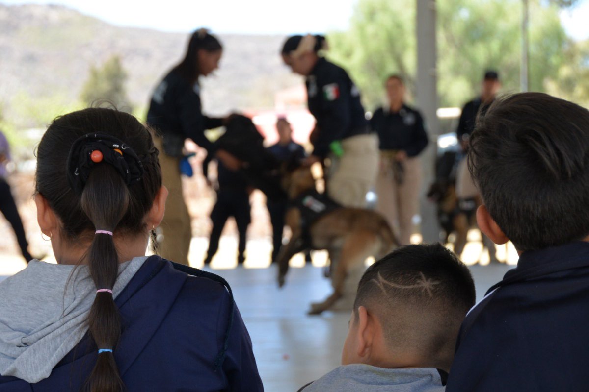 DMSPDGO's tweet image. 👮🏻👧👦👮🏻♂️Policías Municipales continúan formando vínculos de confianza entre agentes policiales y los pequeños estudiantes de las diferentes escuelas de nuestra ciudad. #DMSP #CasaSegura
