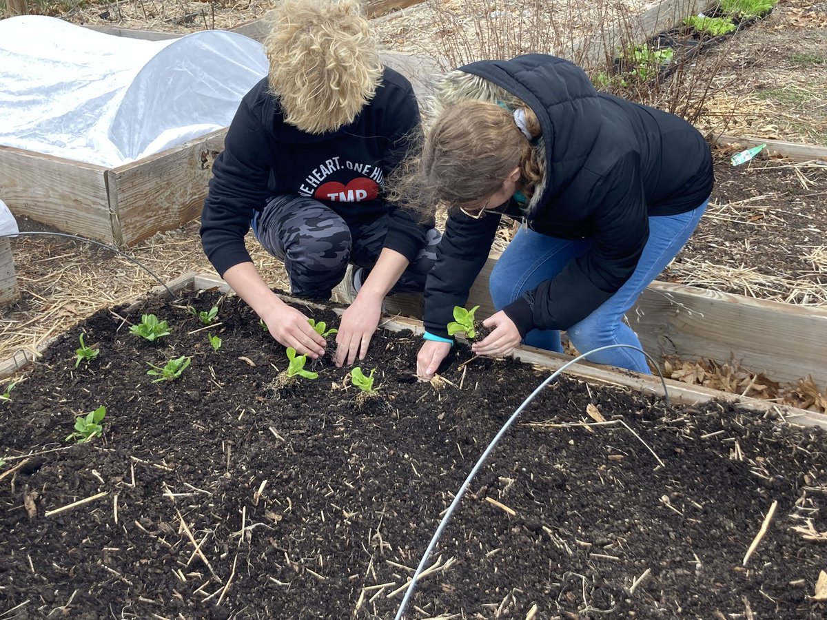 After a few weeks of planning, Ss planted our spring garden with the help of @CharityaKeith and @ColumbiaUrbanAg. A little rain didn’t stop us! 💧 🌱 #PrairieProud #cpsbest #scholarsfirst