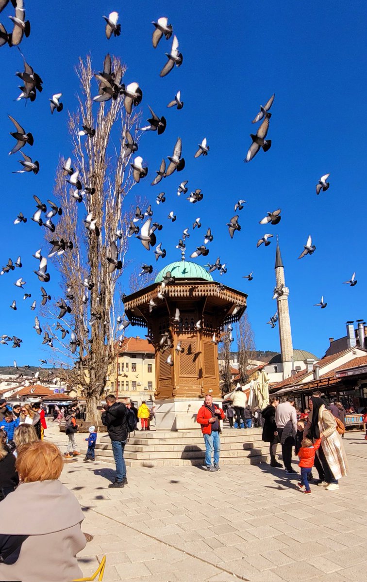 buro's tweet image. سبيل الماء في سراييفو