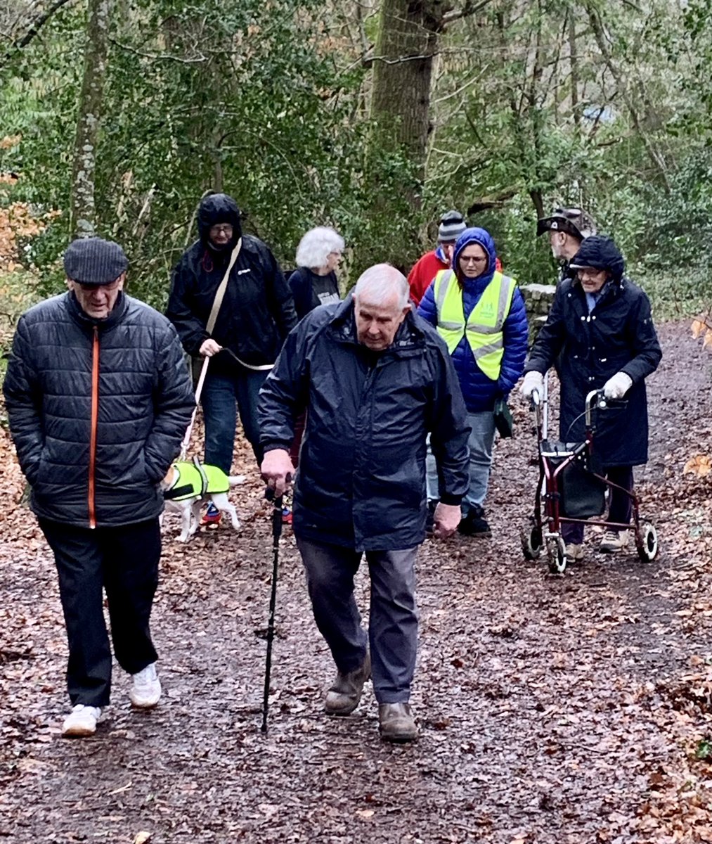 WalkingWorksWonders tweet media