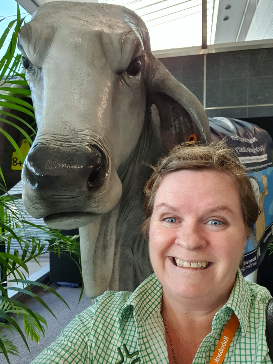 paperball's tweet photo. I heard 800 people will at today's @NTCattlemen Conference
As a hight comparison to the Biosecurity Bull at the event, it might be hard to see me.
DM me to schedule a time to chat all things @ceres_tag
#NTCAConf23 #NTCA23 #internetofanimals #CeresTag #FarmingData https://t.co/DG93Askzkr