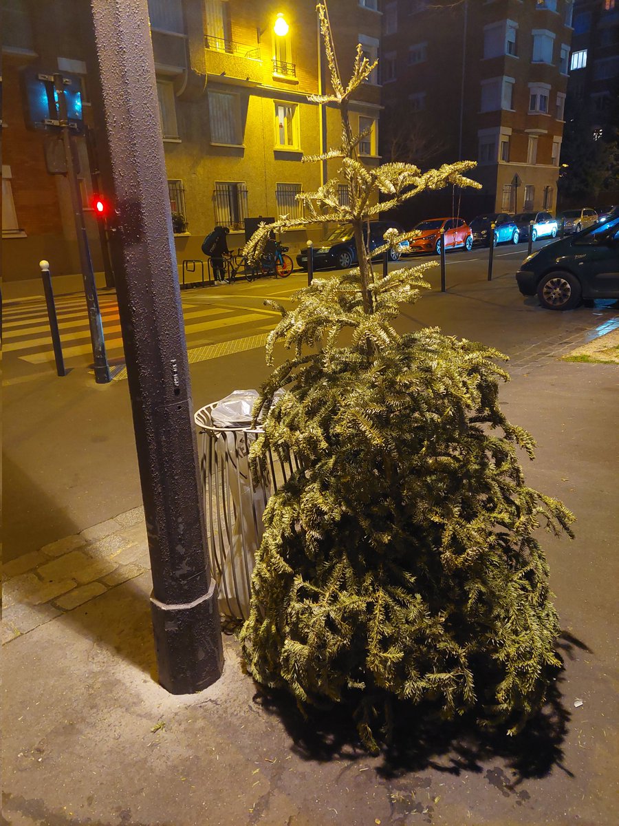 Drassilam1's tweet photo. ouh le bô spécimen ! #chasseursdesapins https://t.co/O9pKeFobUb