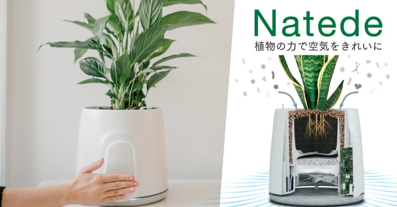 KibidangoJp's tweet photo. 植物の持つ空気清浄作用を最大限に活用する全く新しい空気清浄機、話題の #Natede のクラウドファンディングをご紹介！

現在、Amazonギフト券3000円が10名様に当たるプレゼントキャンペーン中。併せてご覧下さい。

( ´∀`⊂ 彡　　=͟͟͞͞ #お知らせ