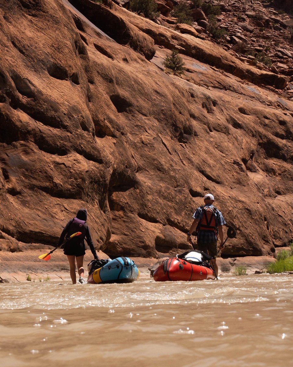 Rig to Flip tweet media