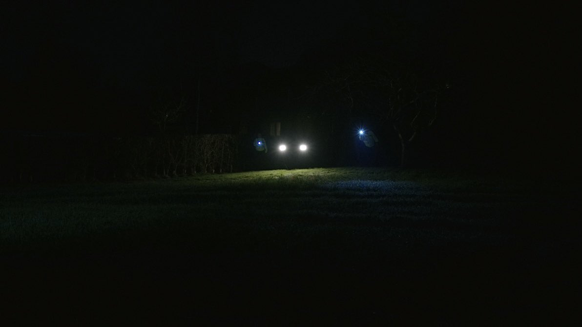 Joseph Greenwood tweet media