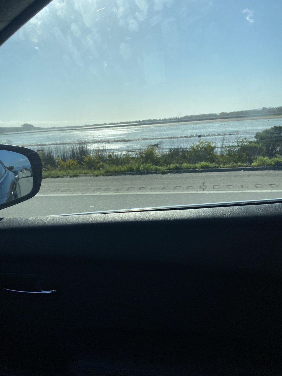 The flooded farm fields in Watsonville are unreal. This looks like a lake, but it’s where we get all the good stuff from — including artichokes, brussels, and berries. 

It was so shocking, traffic slowed almost a stop. Ocean side of Highway 1 near Artichoke Road.