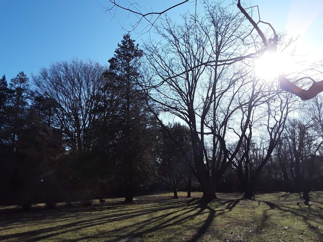 JoeJoy1607's tweet photo. Be happy. Don't worry. God is working on it.
Look up and smile...
@AkokoAmedon #Unesimplejoie #daybyday #TgTwittos #fromjoy
I have tried. 🙏😘🙏🌥️ https://t.co/Kj4ptnlKRW