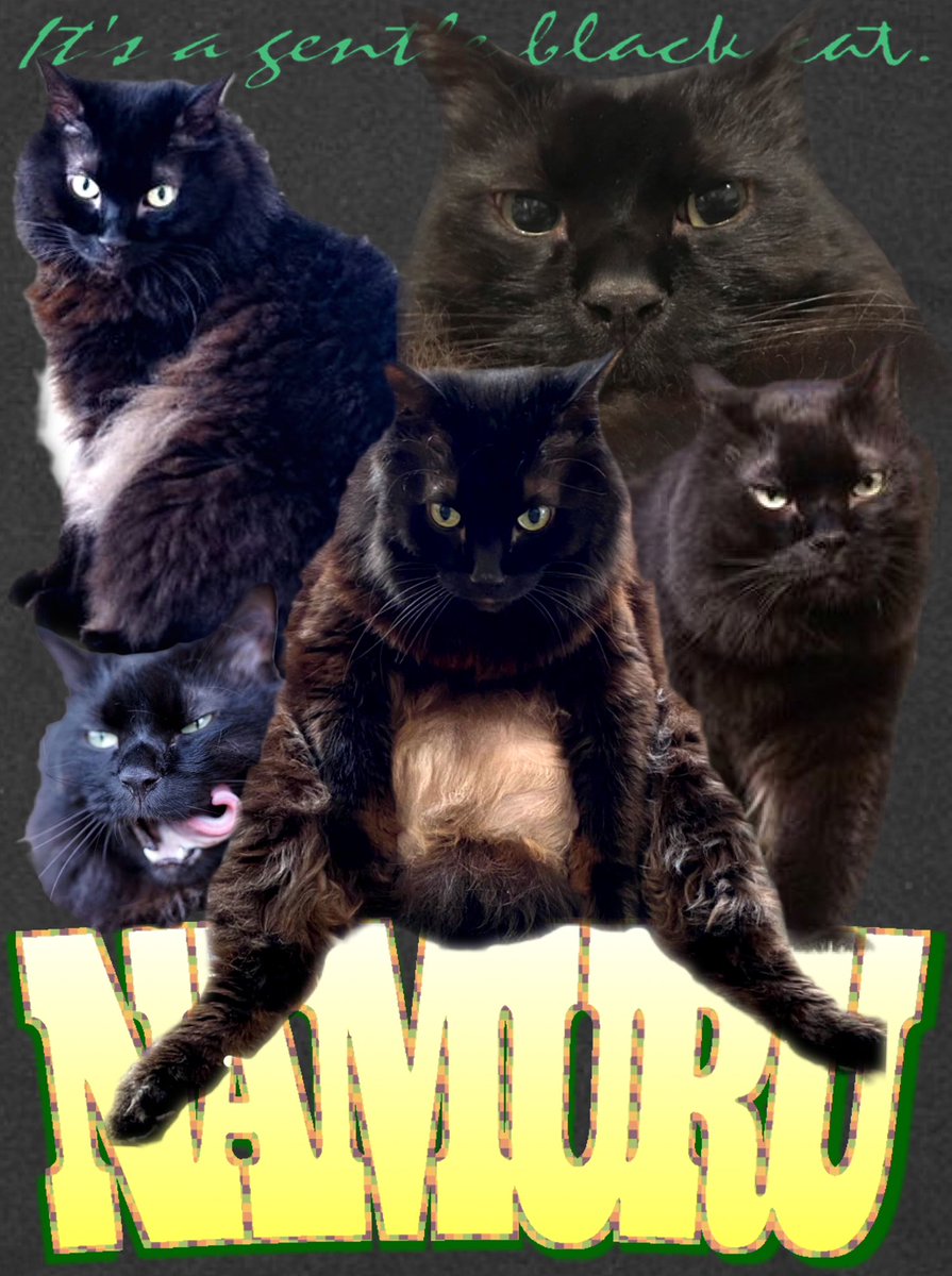 animaruT_shirt's tweet photo. 🐈‍⬛NAMURU
地球日本名古屋からanodaのカリスマ猫"NAMURU"がダサTに初登場！！名古屋市中区一優しい黒猫な1枚です。

Color : White&amp;Black
Price : ¥6,600 (送料無料)～
Material : COTTON 100%
Size : S～XXL

#アニT #アニ丸Tシャツ #アニ丸Tシャツ屋さん#猫T  #猫Tシャツ #CATteeshirts #catt #動物T https://t.co/7arMUdCzy2