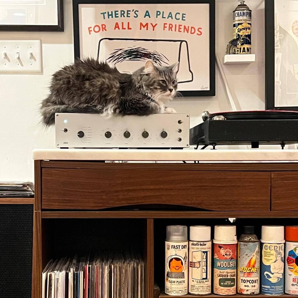 Case Bloom (@casebloom) on Twitter photo 