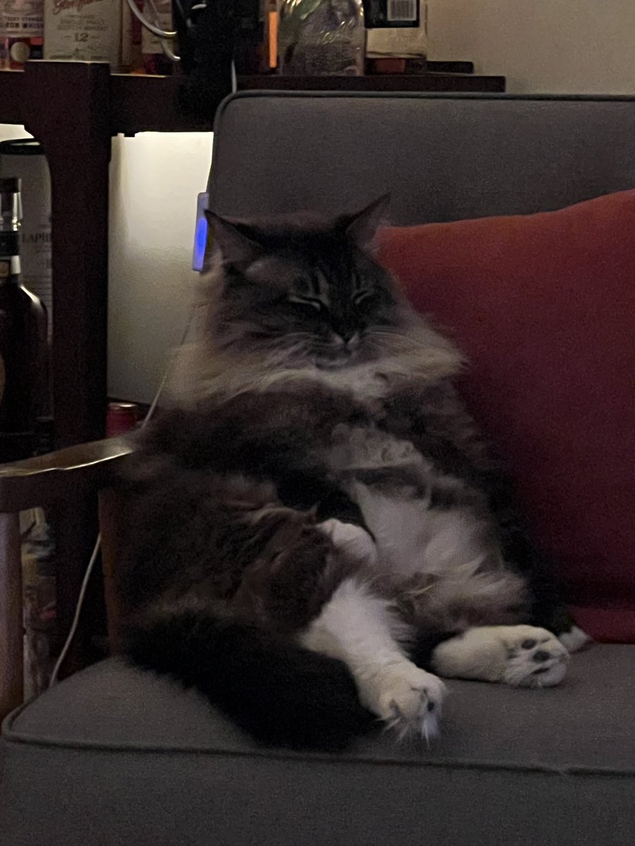 nick | @wanninger@discuss.systems tweet media