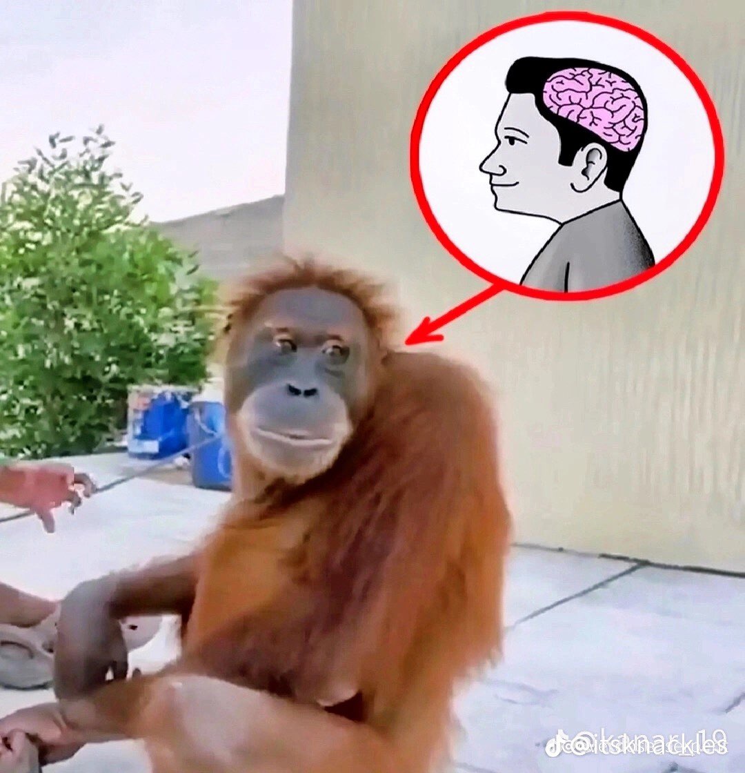 retrojapan__ (@retrojapan__) on Twitter photo 