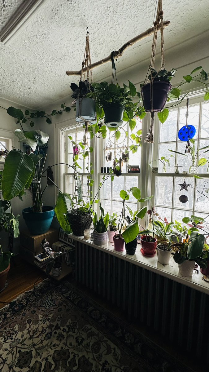 هو صح لكل شيء ثمن و ثمن و فكرة تعيش بعيد عن اهلك صعبة و صعبة الشرح، لكن بالمقابل ماكو وصف يعبر عن انو تعيش حياتك مثل ما تريد و تتعلم دروس من حياتك و تكون كلشي لنفسك …

لا تنسون احنه بفصل الربيع وقت مناسب لشتل نباتات 🌿