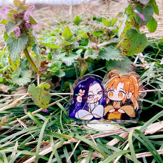 杀破狼どんぐりじゃ〜!!! 