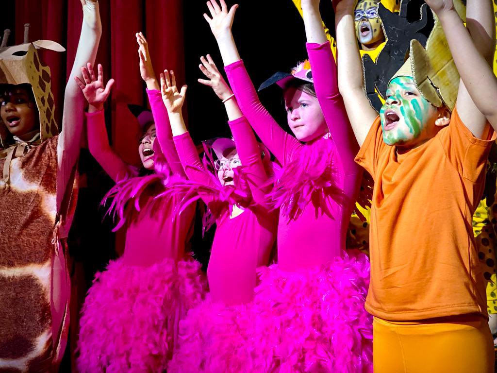 Tamsin Rampall tweet media