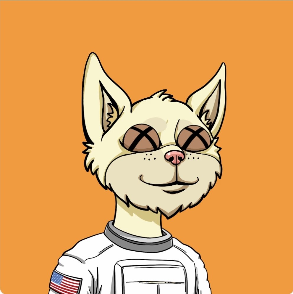 Got this pussy from <a href="/BoredCat_YC/">Bored Cat Yacht Club | FREE MINT</a> 
😺1/1 collection 
😺3500/5000 mint
😺Community driven 

🩷+♻️ if you like cats 🐈 

#catlover #kittens #cats #nfts #bcyc