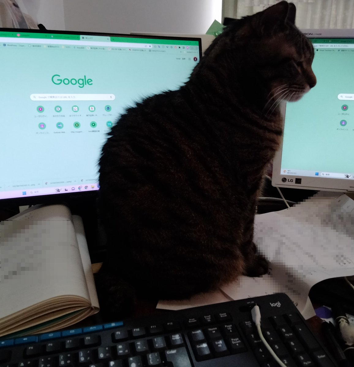 komkom01's tweet photo. Wモニター＆ねこ
じゃま https://t.co/WRc8cbLv0Q