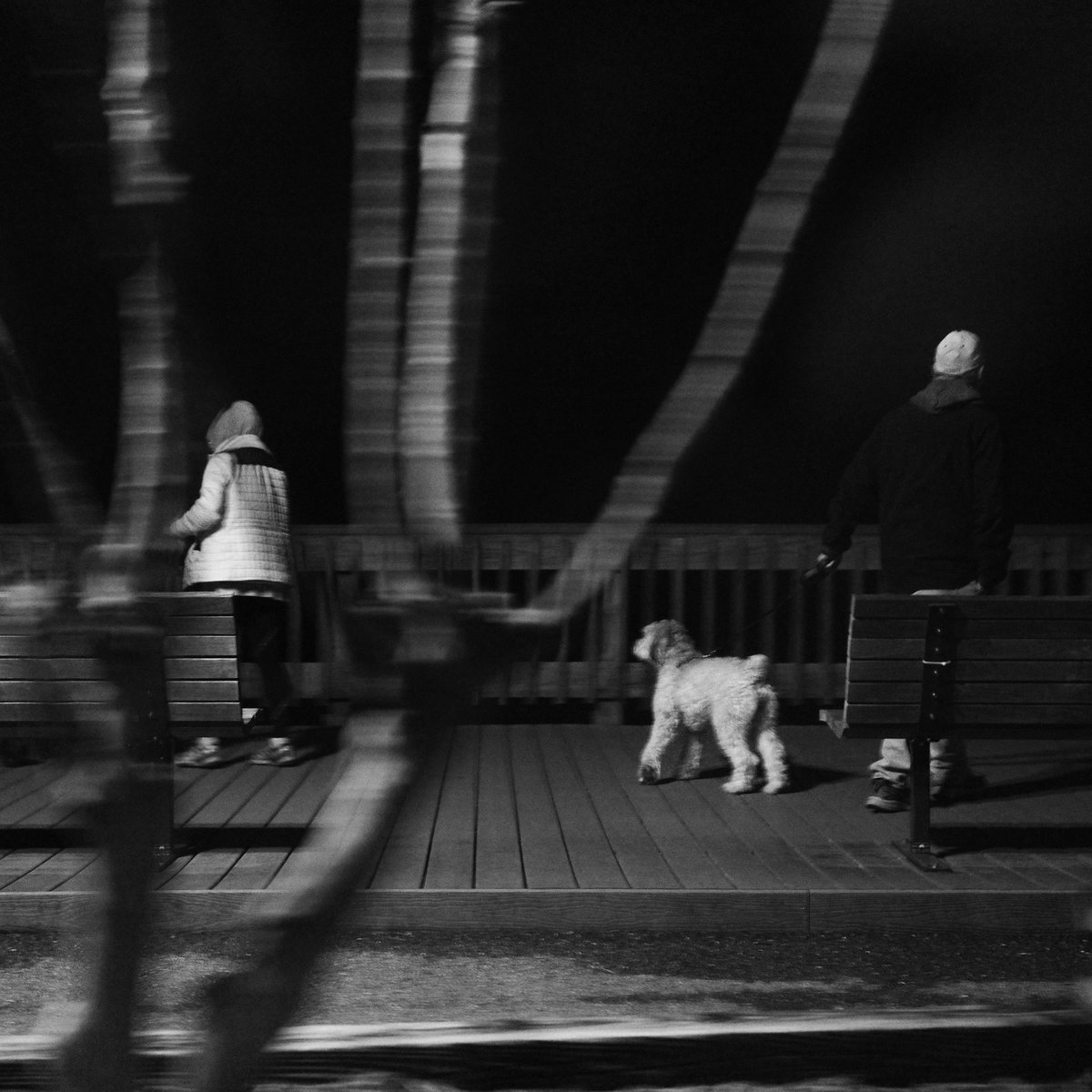 ALetifer's tweet photo. Driveby.
#blackandwhite #squareformat #doggo https://t.co/F9Oa3f4mGy